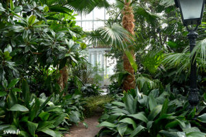 This image has an empty alt attribute; its file name is svva-leaveslove-winter-garden-helsinki-300x200.jpg