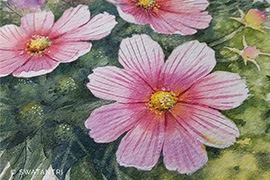 Spring & Summer Projects